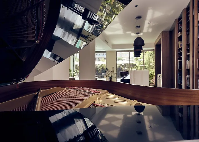 撒马利亚酒店 酒店 干尼亞